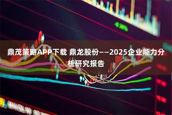 鼎茂策略APP下载 鼎龙股份——2025企业能力分析研究报告